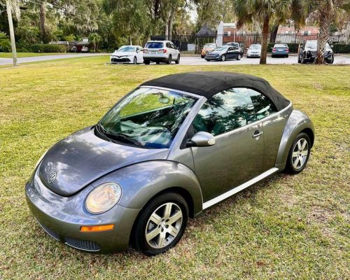 NEM BEETLE 2006 - 02