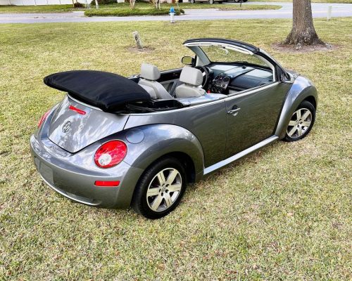 NEM BEETLE 2006 - 05