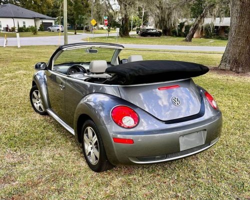 NEM BEETLE 2006 - 07