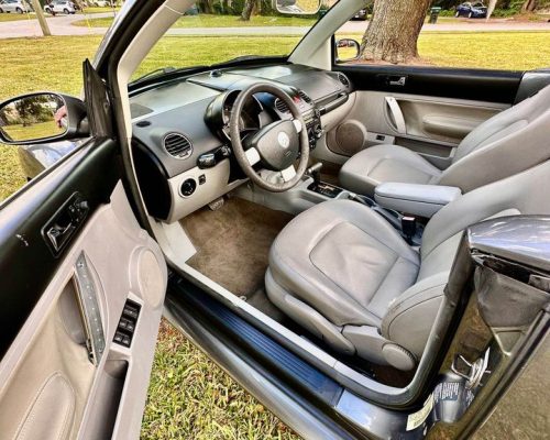 NEM BEETLE 2006 - 08